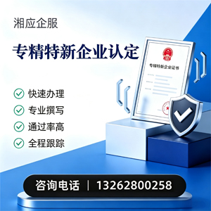 西藏专精特新企业申报服务