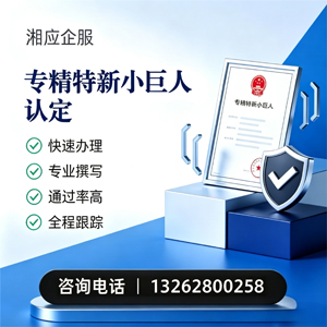西藏专精特新小巨人申报服务