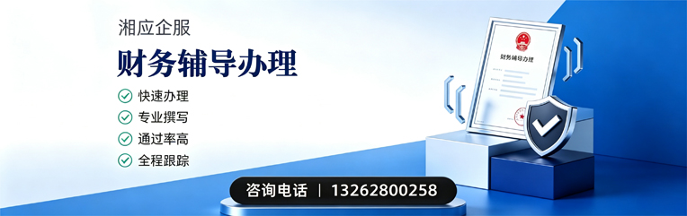 西藏财务辅导申请服务