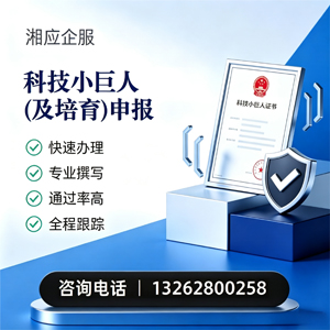 西藏科技小巨人及培育企业申报服务