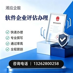 西藏软件企业评估申报服务