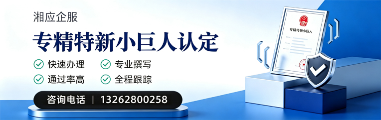 西藏专精特新小巨人申报服务